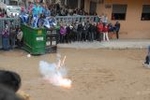 Vila-real exhibe toros de Domecq y Torrealta