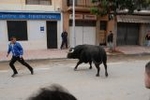 Vila-real exhibe toros de Domecq y Torrealta