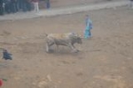 Vila-real exhibe toros de Domecq y Torrealta