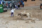 Vila-real exhibe toros de Domecq y Torrealta