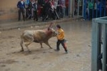 Vila-real exhibe toros de Domecq y Torrealta