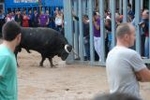 Vila-real exhibe toros de Domecq y Torrealta