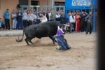 Vila-real exhibe toros de Domecq y Torrealta