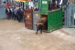 Vila-real cerró las exhibiciones taurinas sin incidentes