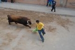 Vila-real cerró las exhibiciones taurinas sin incidentes