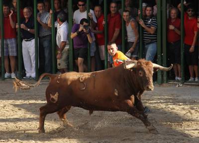 Astados de Las Monjas para el primer encierro de toros cerriles de Burriana