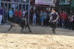 Almassora pone el punto y final a las exhibiciones taurinas