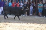 Almassora pone el punto y final a las exhibiciones taurinas