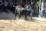 Almassora pone el punto y final a las exhibiciones taurinas