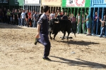 Almassora pone el punto y final a las exhibiciones taurinas