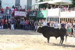 Almassora pone el punto y final a las exhibiciones taurinas