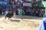 Almassora pone el punto y final a las exhibiciones taurinas