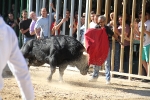 Almassora pone el punto y final a las exhibiciones taurinas