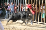 Almassora pone el punto y final a las exhibiciones taurinas