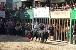 Almassora pone el punto y final a las exhibiciones taurinas