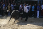 Almassora pone el punto y final a las exhibiciones taurinas
