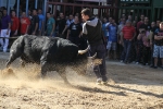 Almassora pone el punto y final a las exhibiciones taurinas
