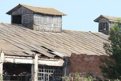 Fotografia /Galeria/2013/6/86291_46193/4_M1.jpg