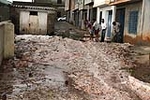 Fotografia /Galeria/2013/6/87673_46818/1_M1.jpg