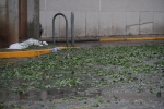 Una fuerte granizada arrasa La Vilavella, Artana y Eslida