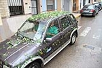 Fotografia /Galeria/2013/6/87673_46818/7_M1.jpg