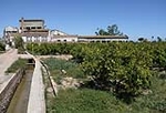 Fotografia /Galeria/2013/6/87834_46885/1_M1.jpg