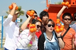 Coreanos universitarios se interesan por el cultivo de la naranja