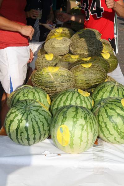 Fotografia /Galeria/2013/7/89457_47620/4_M1.jpg