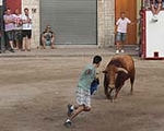 Lleno total en Moncofa para los primeros toros cerriles