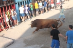Lleno total en Moncofa para los primeros toros cerriles