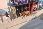 Lleno total en Moncofa para los primeros toros cerriles