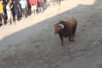 Lleno total en Moncofa para los primeros toros cerriles