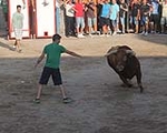 Lleno total en Moncofa para los primeros toros cerriles