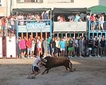 Lleno total en Moncofa para los primeros toros cerriles