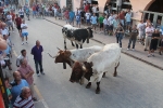 Lleno total en Moncofa para los primeros toros cerriles