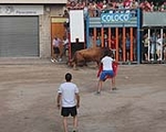 Fotografia /Galeria/2013/7/89466_47625/5_M1.jpg