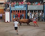 Fotografia /Galeria/2013/7/89466_47625/6_M1.jpg