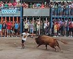 Fotografia /Galeria/2013/7/89466_47625/8_M1.jpg