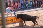 Enrique Merino obtiene 127 puntos en el concurso de ganaderías de la Vall