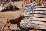 Enrique Merino obtiene 127 puntos en el concurso de ganaderías de la Vall