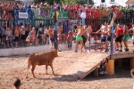 Enrique Merino obtiene 127 puntos en el concurso de ganaderías de la Vall