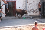 Enrique Merino obtiene 127 puntos en el concurso de ganaderías de la Vall