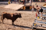 Enrique Merino obtiene 127 puntos en el concurso de ganaderías de la Vall