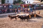 Enrique Merino obtiene 127 puntos en el concurso de ganaderías de la Vall