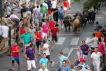 Enrique Merino obtiene 127 puntos en el concurso de ganaderías de la Vall