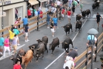 Enrique Merino obtiene 127 puntos en el concurso de ganaderías de la Vall