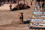 Enrique Merino obtiene 127 puntos en el concurso de ganaderías de la Vall