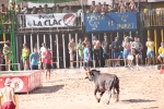 Enrique Merino obtiene 127 puntos en el concurso de ganaderías de la Vall