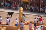 Los aficionados taurinos disfrutan con el encierro de Dani Machancoses