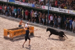 Los aficionados taurinos disfrutan con el encierro de Dani Machancoses